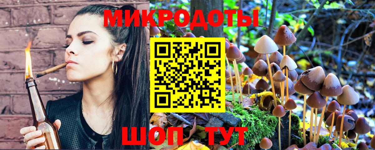 Галлюциногенные грибы MAGIC MUSHROOMS  купить закладку  Ахтубинск  Вход с VPN 