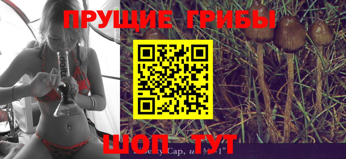Псилоцибиновые грибы мицелий Ахтубинск